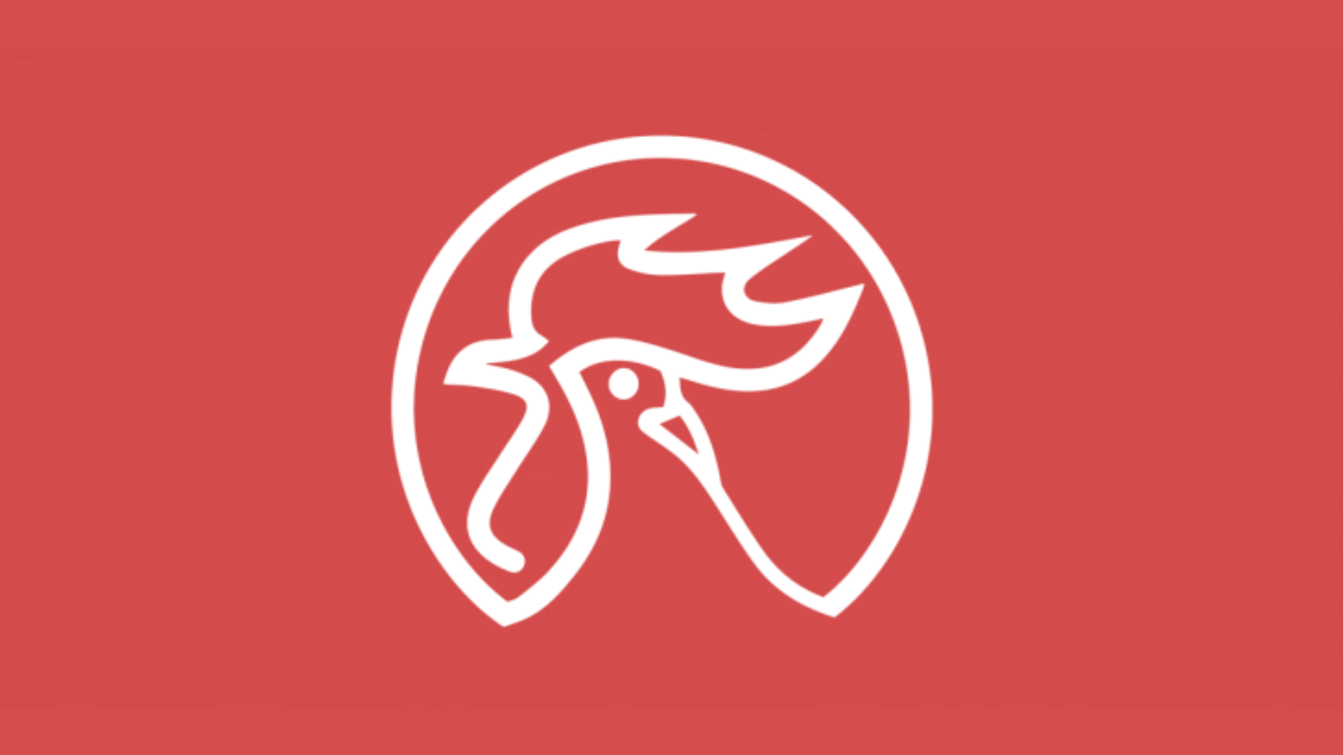 Chicken Wizz - Site web restaurant créé par Synios, agence digitale France